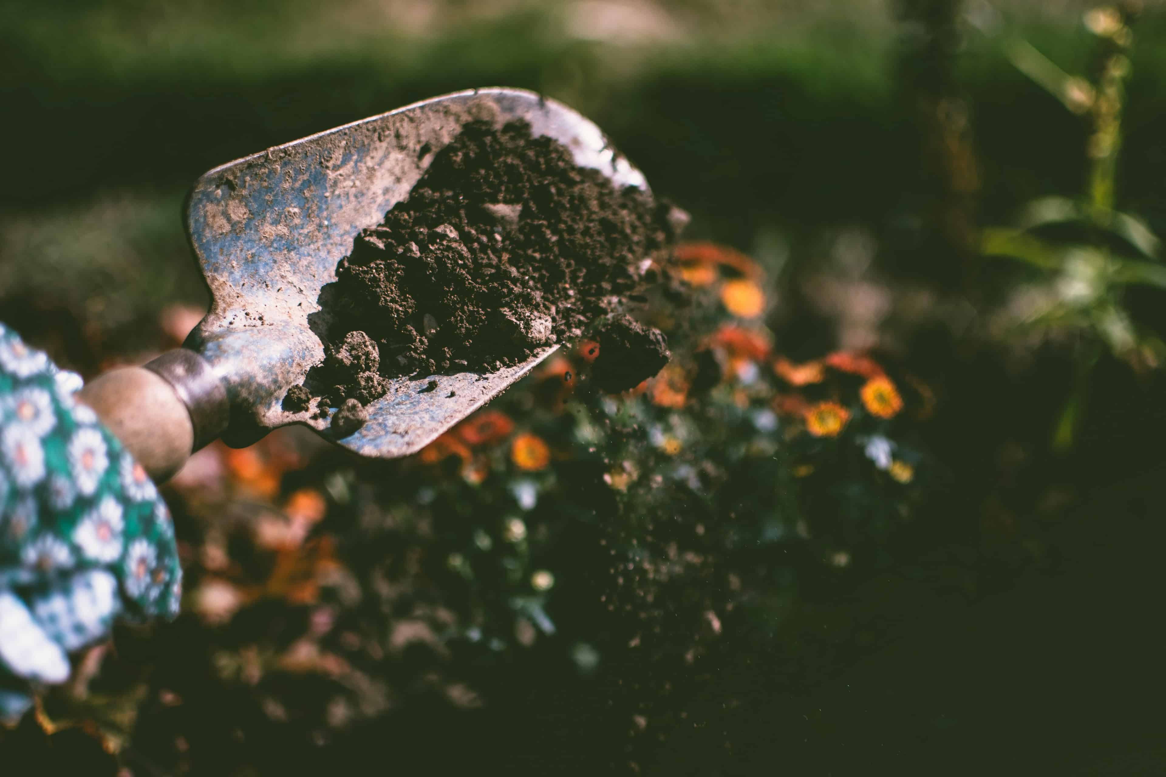 Mulch Installation image