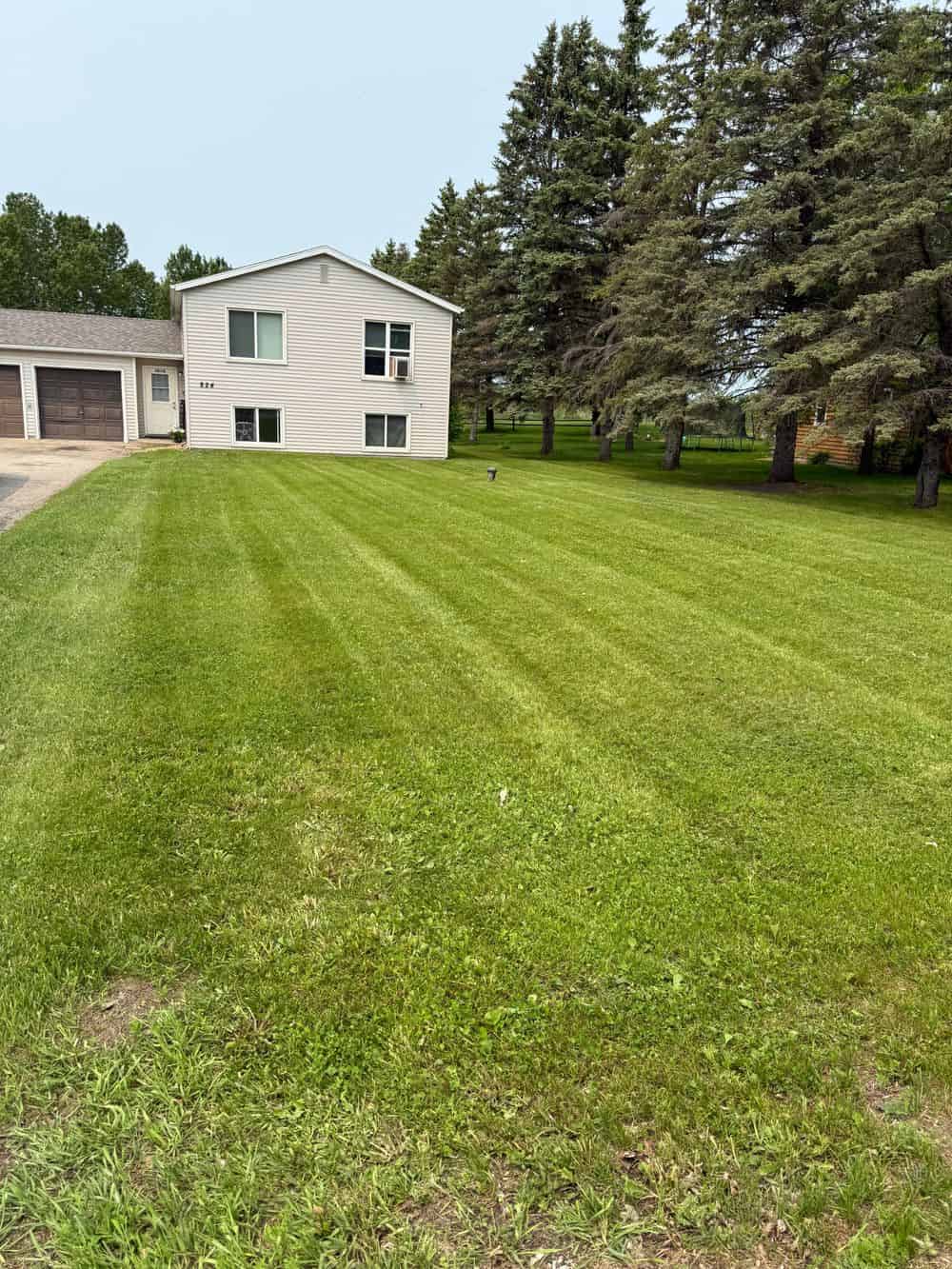 Mowing and Trimming image