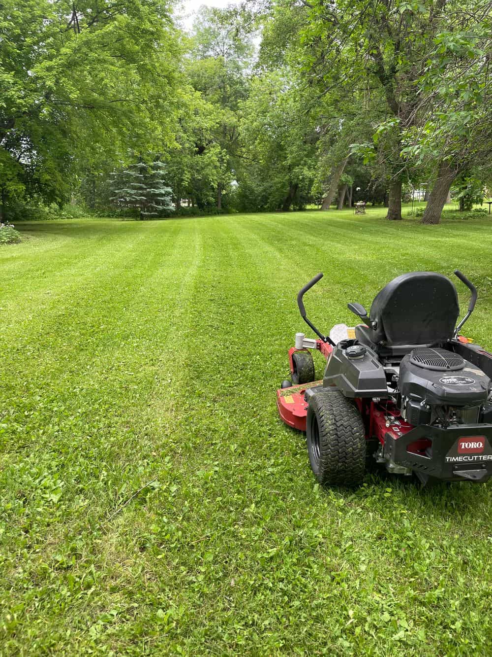 Hero image for  Ch lawn care LLC
