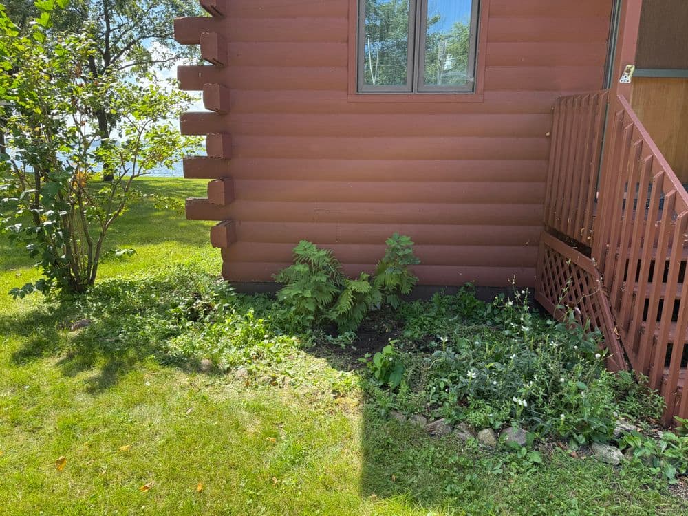 Log cabin corner garden with green plants and a wooden staircase on a sunny day.