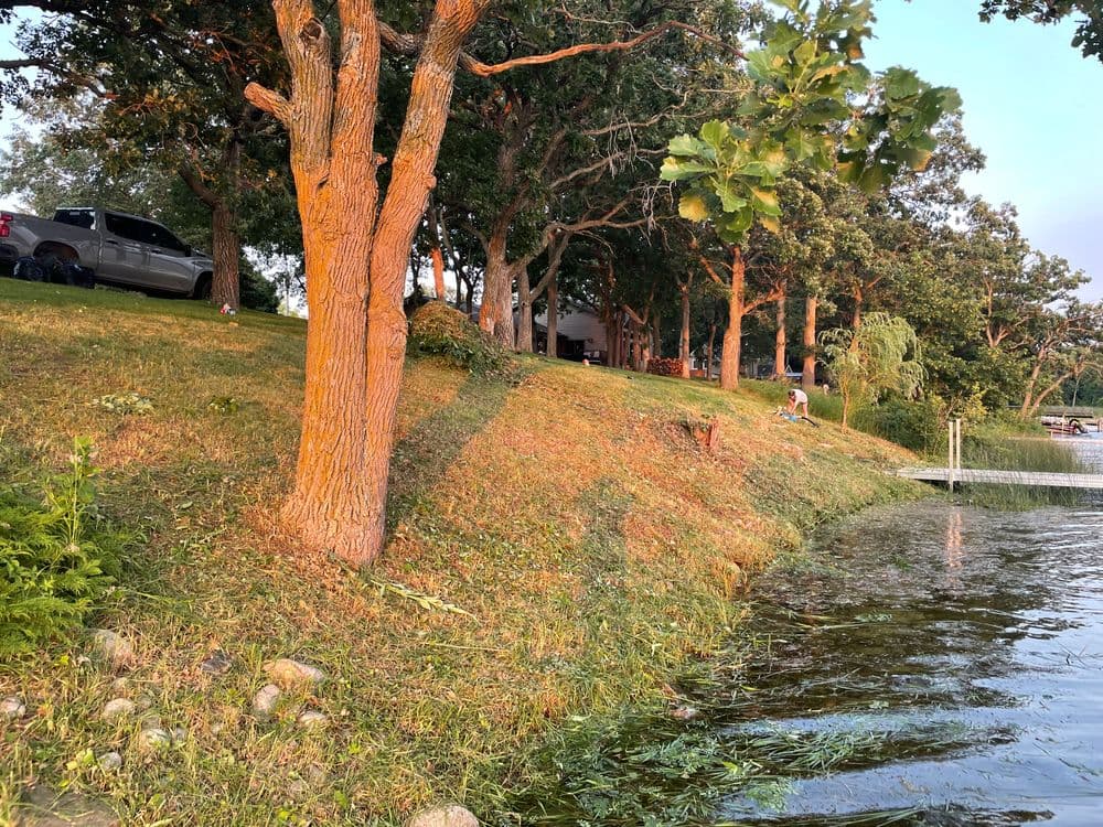 Lakeside view with trees, grassy slope, and a car parked near the water's edge.
